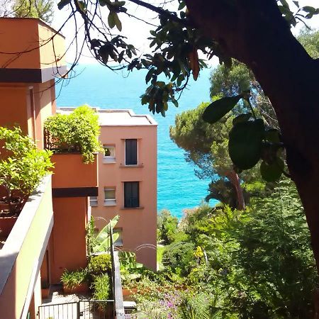 Casa Delle Mimose Apartment Varazze Bagian luar foto