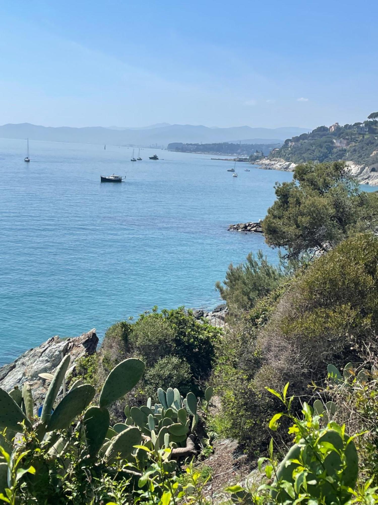 Casa Delle Mimose Apartment Varazze Bagian luar foto