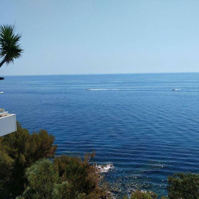 Casa Delle Mimose Apartment Varazze Bagian luar foto