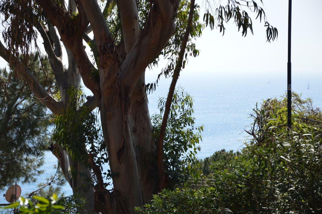 Casa Delle Mimose Apartment Varazze Bagian luar foto